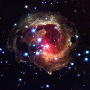 Coolest Animation of a Variable Red Star in Action (V838 Monocerotis)