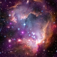 Young Stars Forming in NGC 602