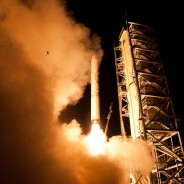 Frog has Last Laugh with Epic Photobomb During LADEE Launch