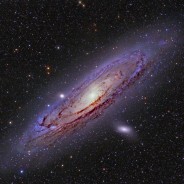 Record Number of Black Holes Found in Andromeda (M31)