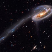 Gorgeous Image of the Tadpole Galaxy