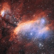 Young Stars are Born in the Prawn Nebula