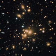 The Largest Known Population of Globular Star Clusters